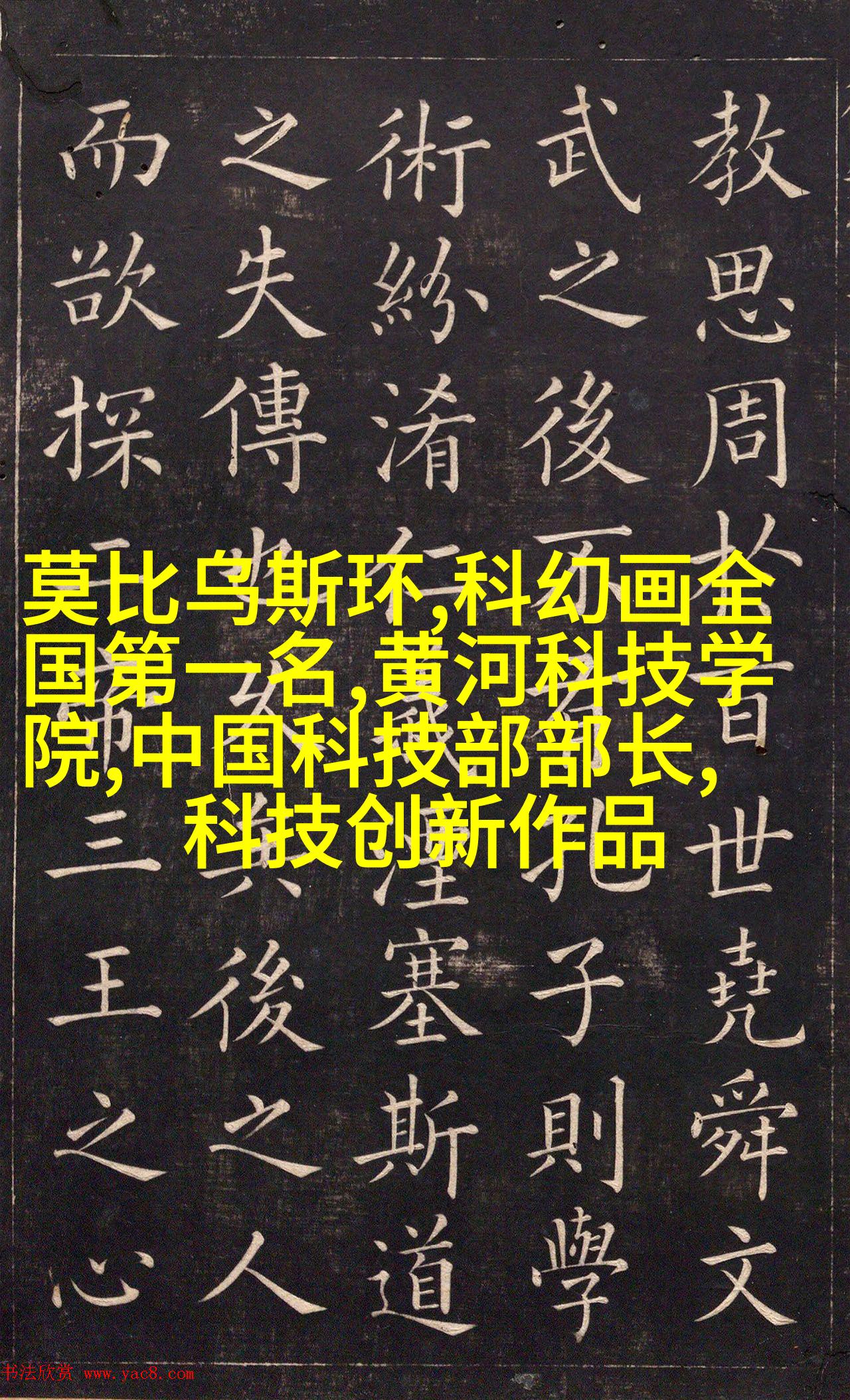 788111.com，探索数字时代的无限可能