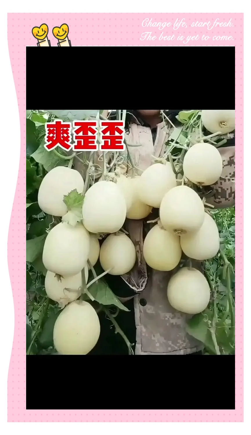 今日大瓜，热门热议的51个热门大瓜-第1张图片