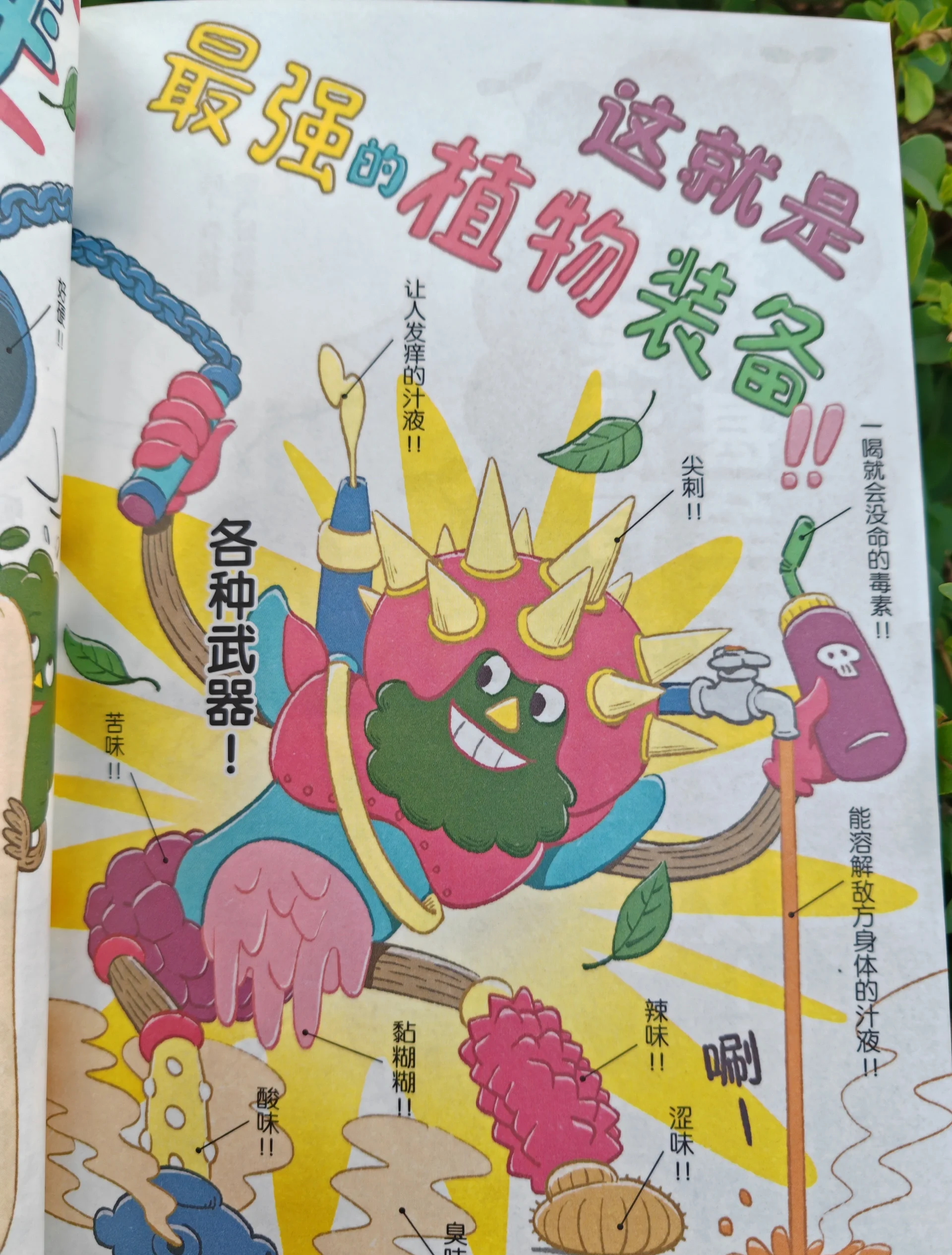 植物精灵 攻略植物精灵攻略-第1张图片