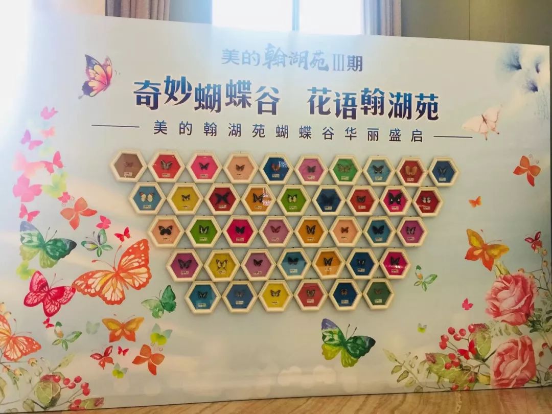 蝴蝶谷网址娱乐网，探索网络世界的奇妙之旅