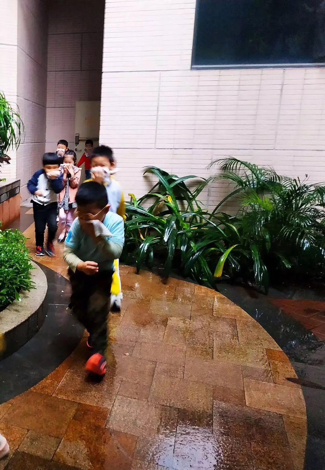 乐乐地带商城乐乐地带论坛，探索网络交流的新天地
