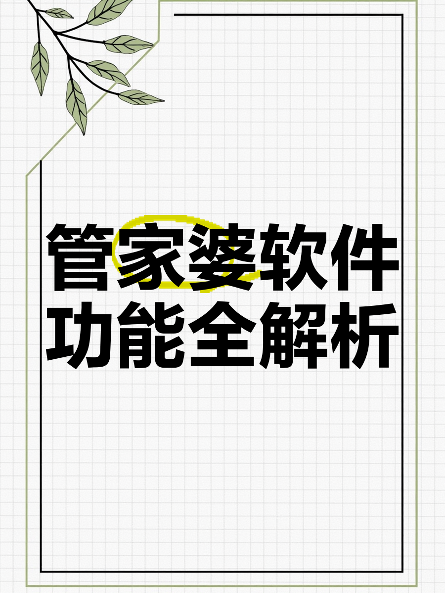 管家婆正版内部精选大全管家婆正版，智能管理的新选择-第3张图片
