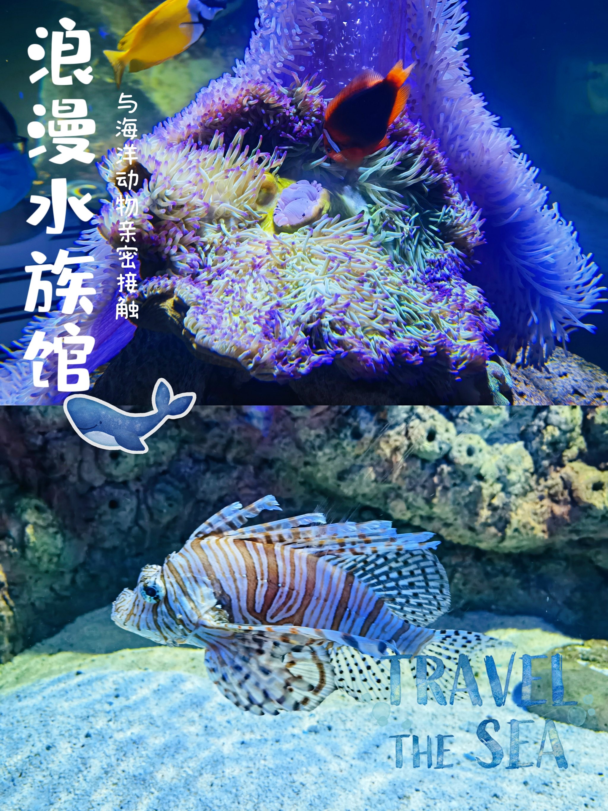 www色小姐com，探索神秘诱惑的世界-第2张图片