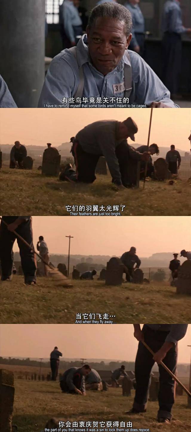 欧美艹逼欧美艹逼，文化冲突与消费主义盛行-第2张图片