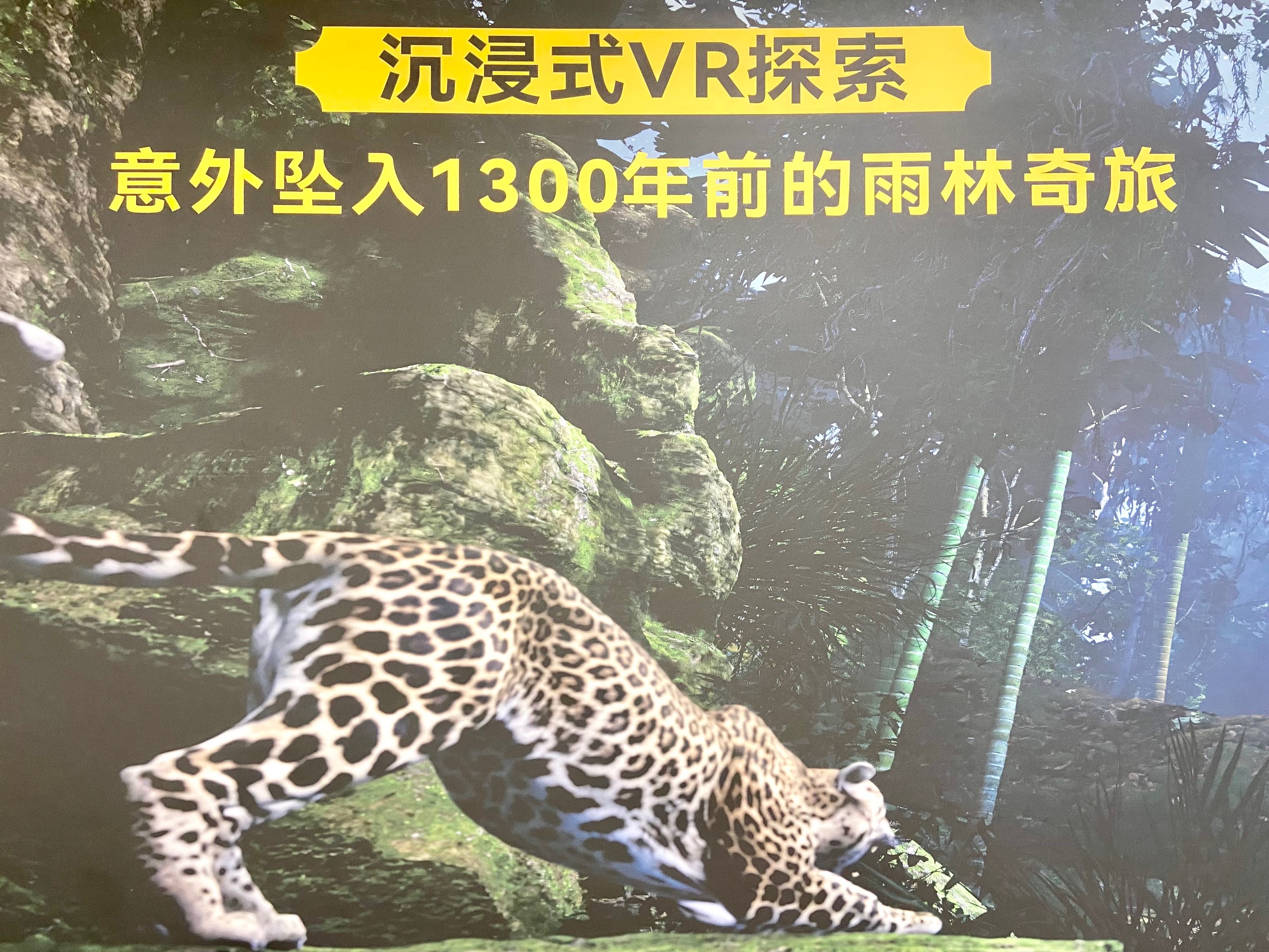玛雅论坛转载文章