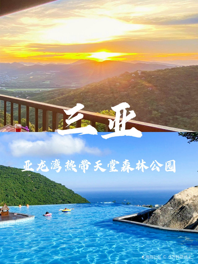 南国特区南国特区，魅力四溢的热带天堂-第3张图片