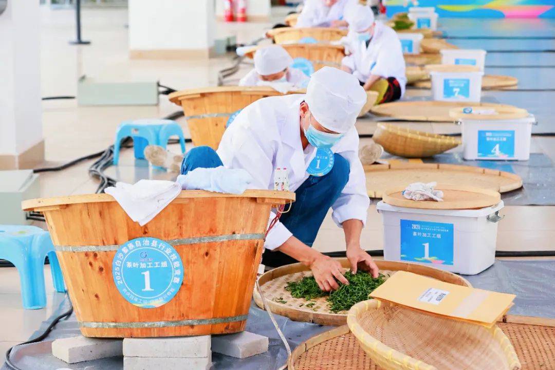 机械师技能，精湛技艺与专业素养