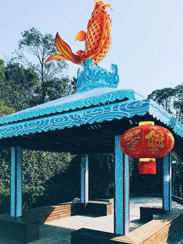 锦鲤吸水正确姿势-第3张图片