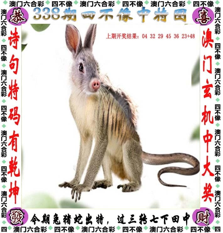 一码一肖 中特一码一肖，中特之探索