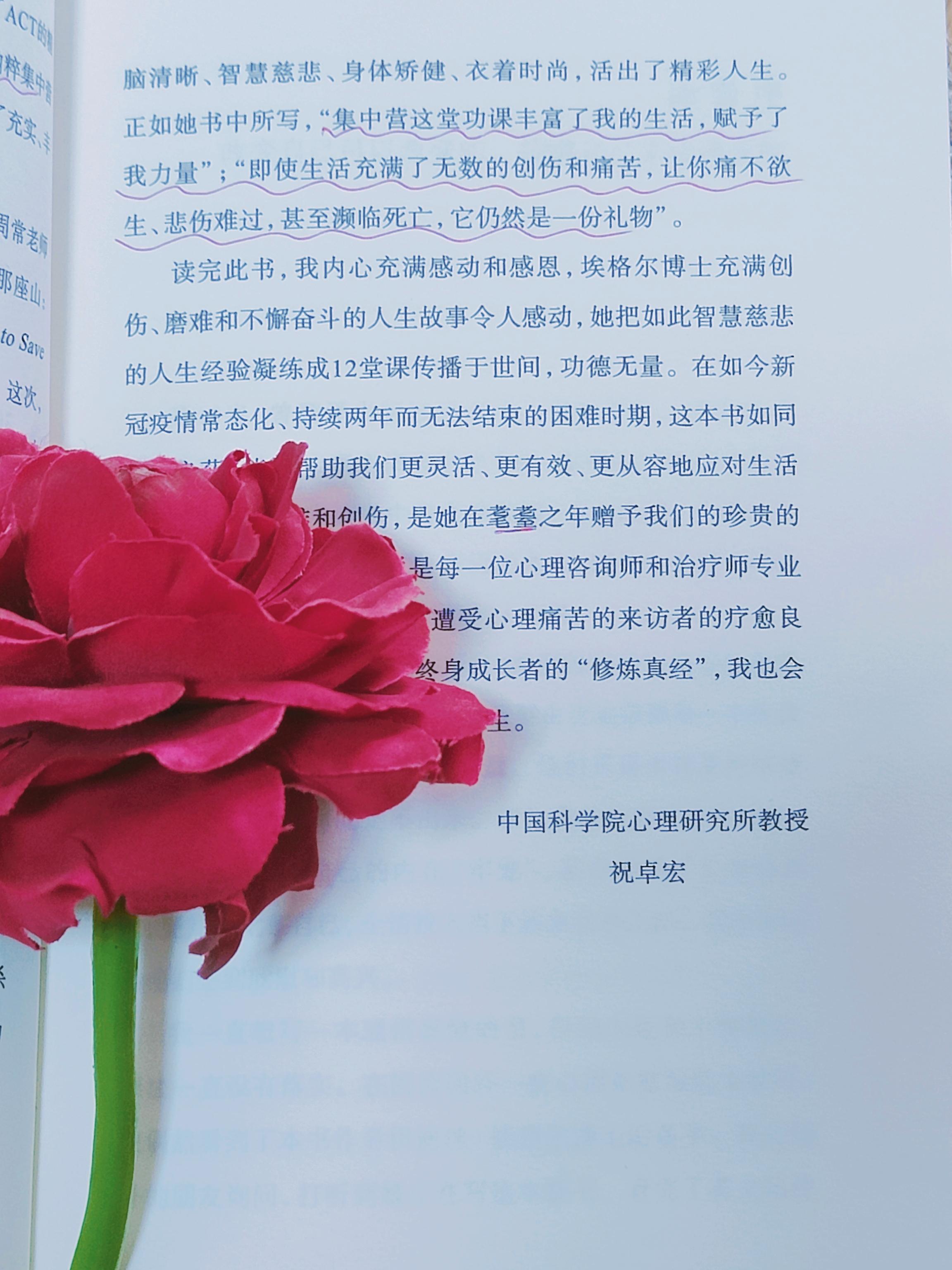 辛福魔方我的博士女友辛福魔方，追寻内心的幸福-第1张图片
