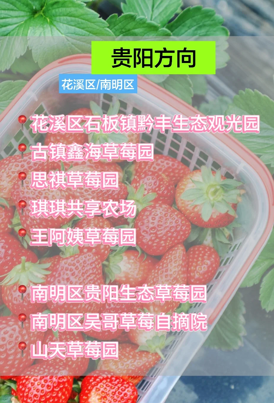 草莓视频在线无限观看大全草莓视频在线无限观看，探索视频新世界-第1张图片