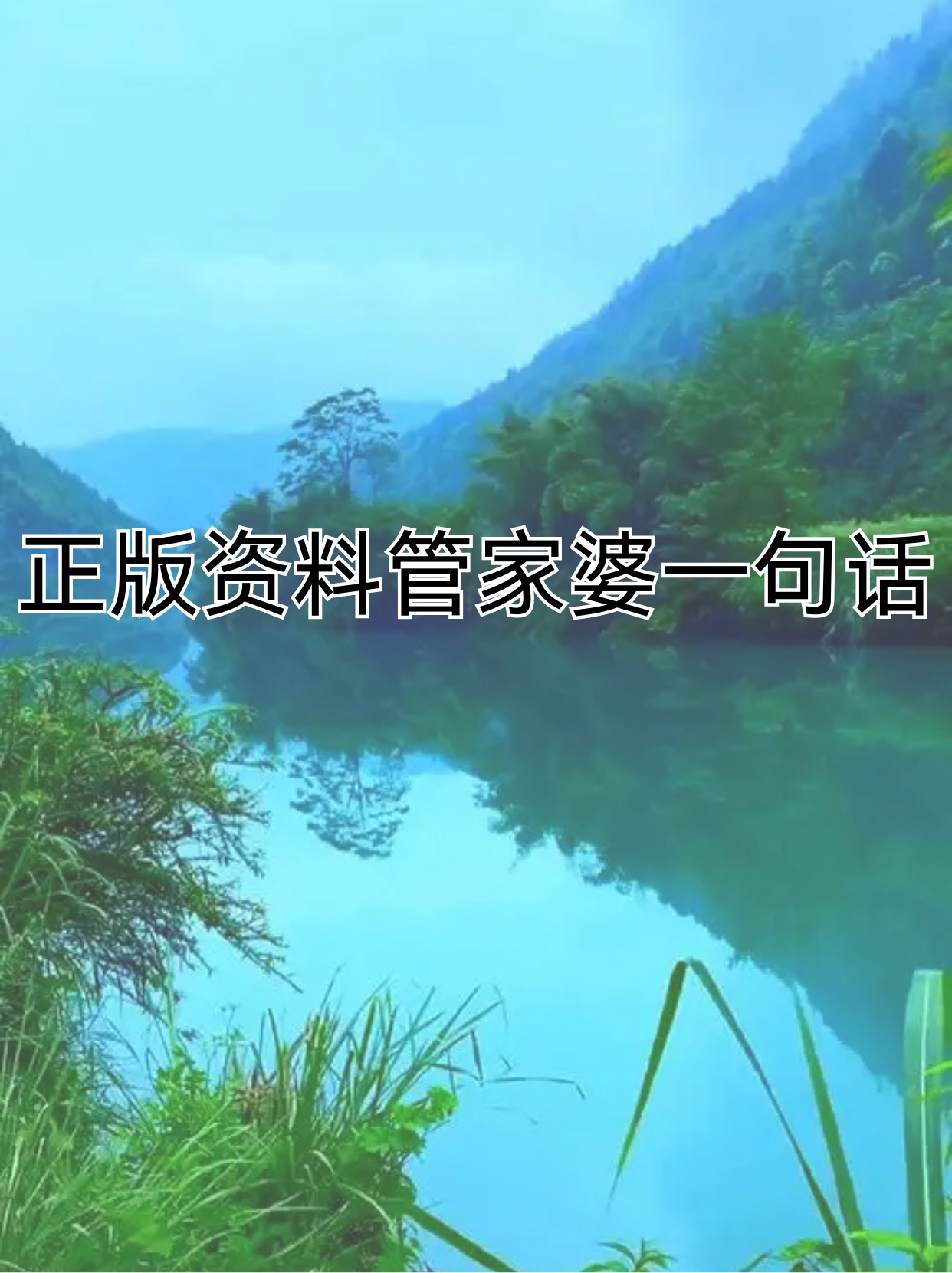 管家婆免费版资料大全-第3张图片